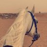 Фото профиля الريم الروقي🦌