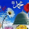 Фото профиля د/حسن محمد شاهين