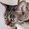 Фото профиля しんちゃんマン