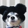Profilbild von ponta
