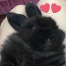 ItsalwaysOk 的头像