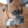 Profilbild von Edgar G E