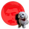 ナイスなおっちゃん 的头像