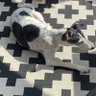 Caughtinn profil fotoğrafı