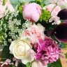🌸るる🌸🍎🟥🧬🦁🦓💜🐶🎬🥷⛩✨⚔️•*¨*•.¸¸🍑🎶's profile picture