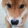 キムオンマ's profile picture