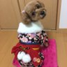 🐶みゆ87's profile picture