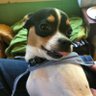 Deb's profile picture