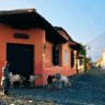 chiltepe profil fotoğrafı
