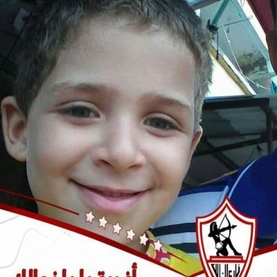 محمد راغب هلالى's profile picture