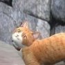 Profilbild von GreatGriffin