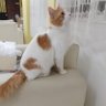 YALL-E profil fotoğrafı