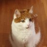 Фото профиля LisaKatt