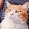 Profilbild von Terryzhang