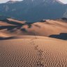 قايد البلوي 的头像