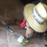 Фото профиля marcos