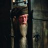 Albus Percival Wulfric Brian Dumbledore profil fotoğrafı