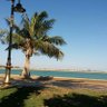ABD ALKADR 的头像