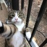 氵 profil fotoğrafı