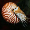 ctom profil fotoğrafı
