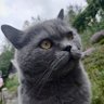 Фото профиля Ярослав Сивенюк