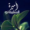 ‏أميرة السليماني🇸🇦 的头像