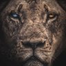 Silent's profile picture
