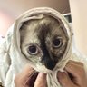 ไว้หวีดคนน่ารัก 的头像