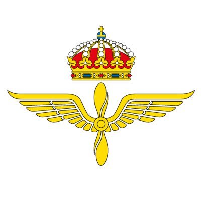 flygvapnet's profile picture