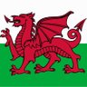 Фото профиля welshgirlem