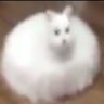 Profilbild von TheRealSuper