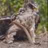 المفكر العماني profil fotoğrafı