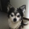 ふじおかん profil fotoğrafı