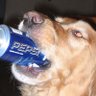Profilbild von Manly Musk