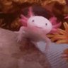 Profilbild von AxolotlAndy 🇲🇽 △
