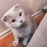 bunlarhepmerak's profile picture
