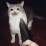 Фото профиля bOnE mEmE