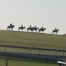 Horse racing racecards, history and course visits profil fotoğrafı
