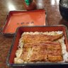 Фото профиля 🇯🇵米が主食ちゃん🌾