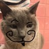 Profilbild von Sammy Sam
