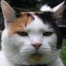 Profilbild von rjk