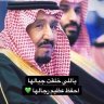 الوطن غالي🇸🇦 的头像