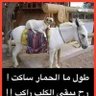 سعدون's profile picture