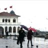 yelćın's profile picture