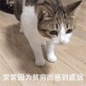 德玛西亚的菜鸟驿站's profile picture