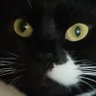 Clare 💙 profil fotoğrafı