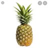 Soviet Pineapple's profile picture