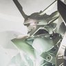 ラティーファ【雪民】☃️ 【遜號員】🐧's profile picture