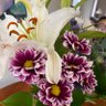 Фото профиля Rebeca Dabbas