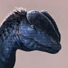 Emily Stepp's profile picture